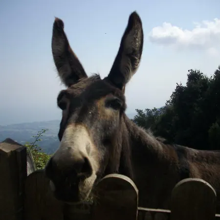 Sole E Ventu Daire San-Giovanni-di-Moriani