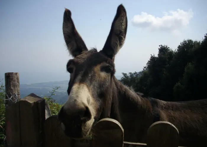 Sole E Ventu דירה San-Giovanni-di-Moriani