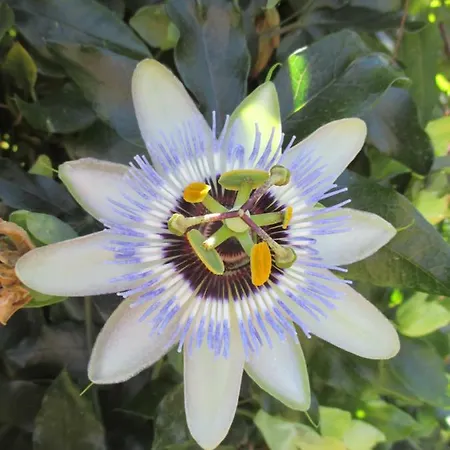 Sole E Ventu Appartamento *